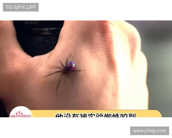 蜘蛛侠:英雄归来,8个彩蛋揭秘彼得帕克的情感纠葛 蜘蛛侠:英雄归来,8个彩蛋揭秘彼得帕克的情感纠葛