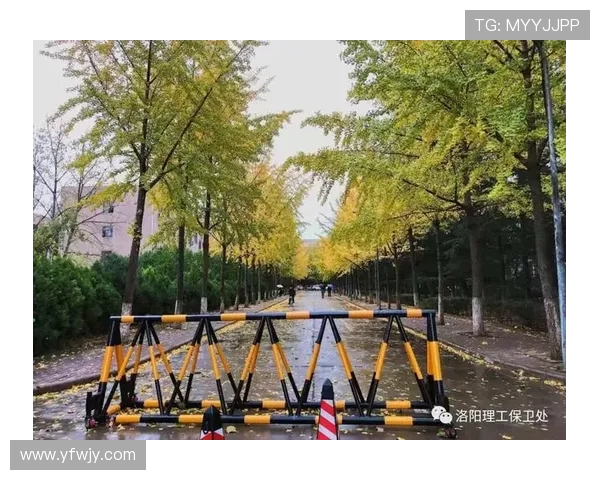 《保姆与保安》：当温情守护遇上烟火日常，一部触动心弦的都市情感剧