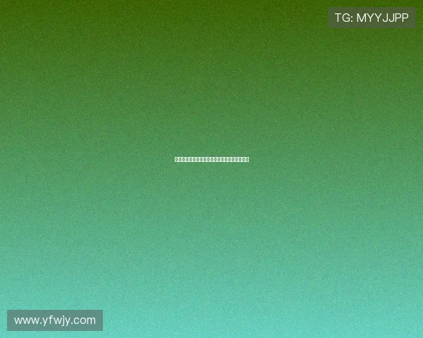 光影律动,心随境转:近期不容错过的佳片指南 光影律动,心随境转:近期不容错过的佳片指南